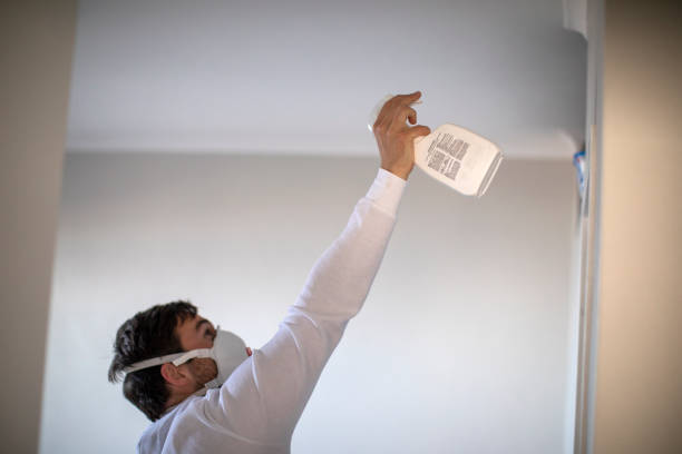 Best Black Mold Removal  in Highlandville, MO