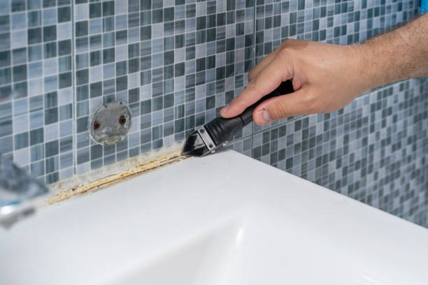Best Office Mold Removal Services  in Highlandville, MO